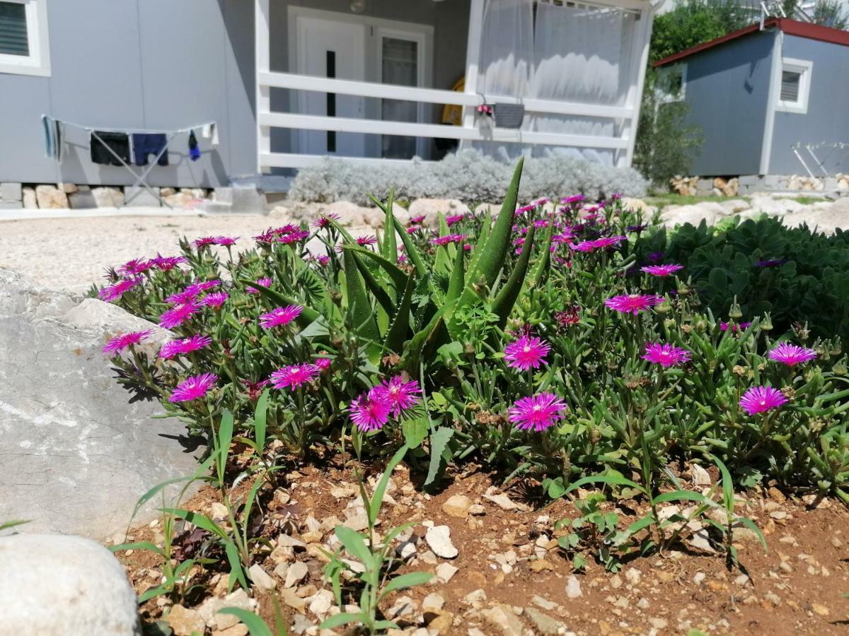 Fjaka Camp Pakoštane Exteriör bild
